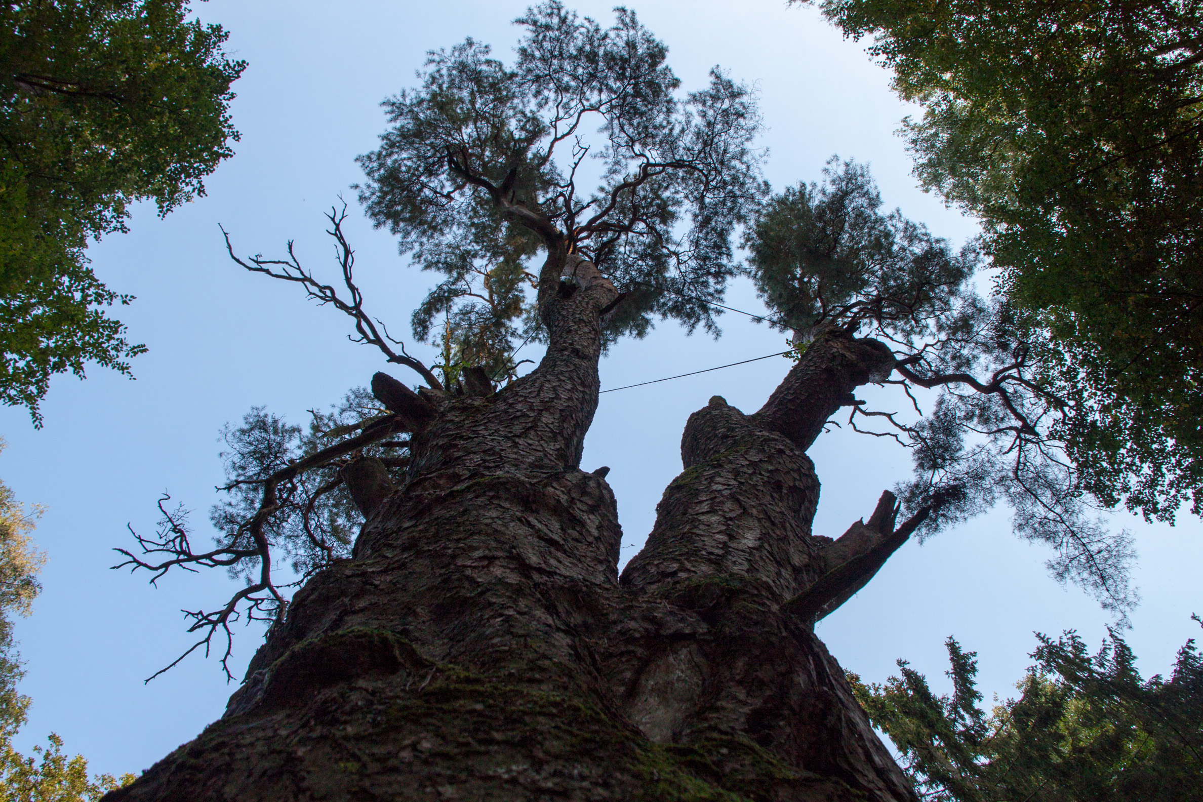 Gastilionių pažintinio tako beieškant (2 dalis)